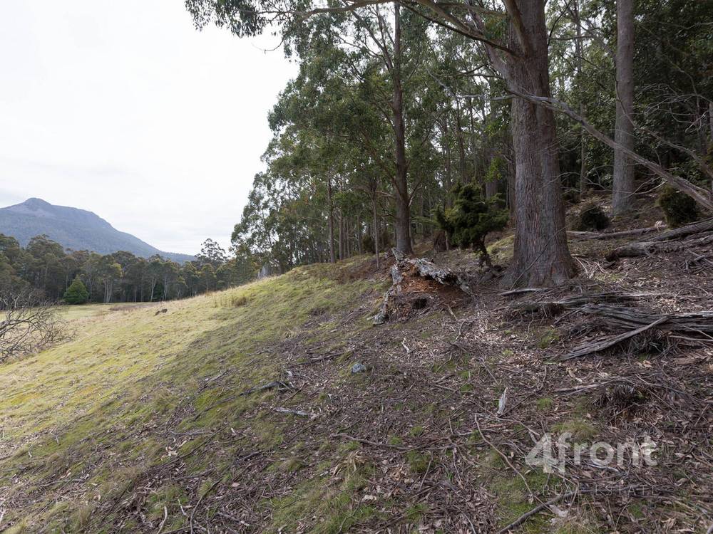 141 Tiers View Road, Golden Valley, TAS 7304