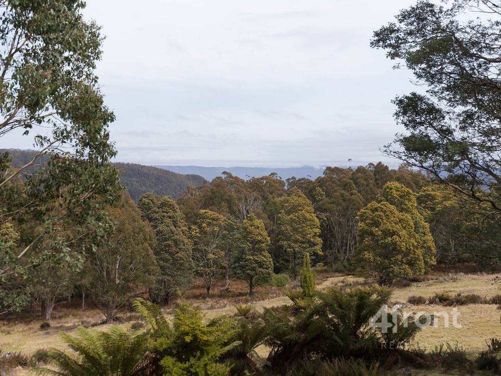 141 Tiers View Road, Golden Valley, TAS 7304