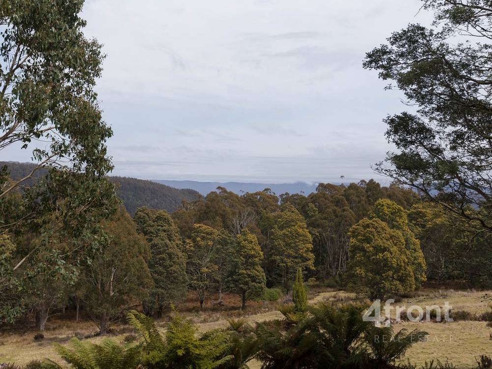 141 Tiers View Road, Golden Valley, TAS 7304