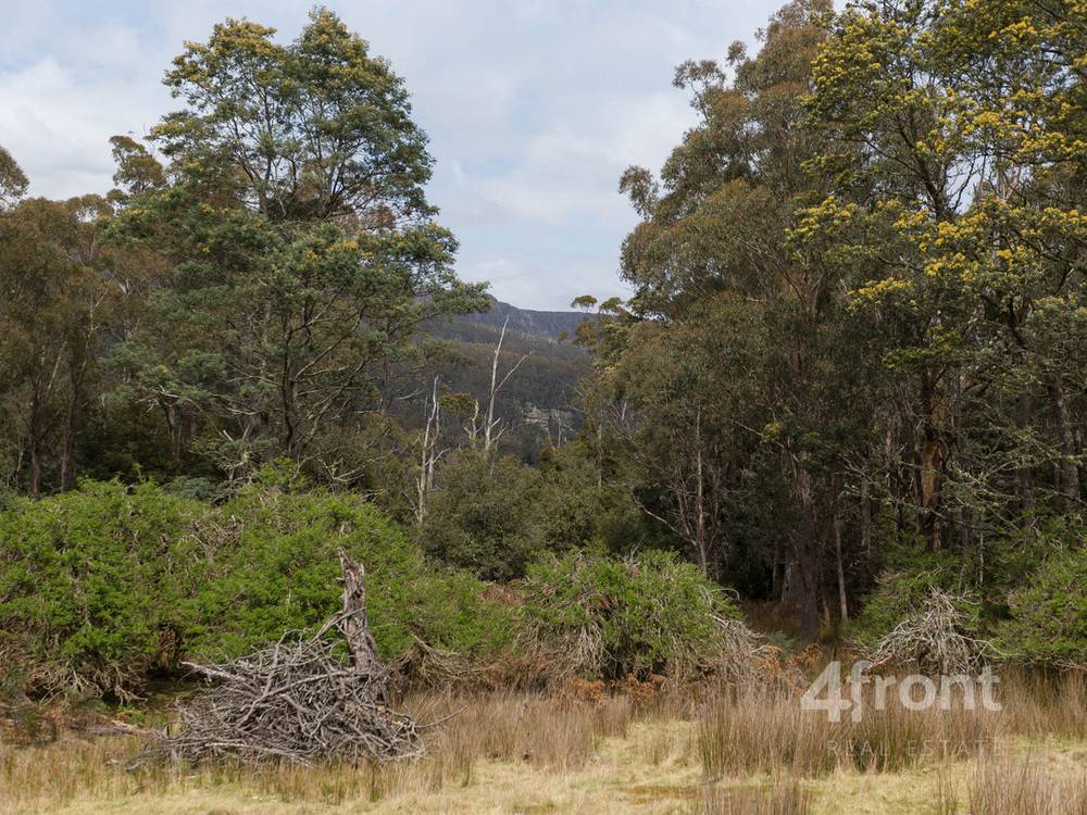 141 Tiers View Road, Golden Valley, TAS 7304