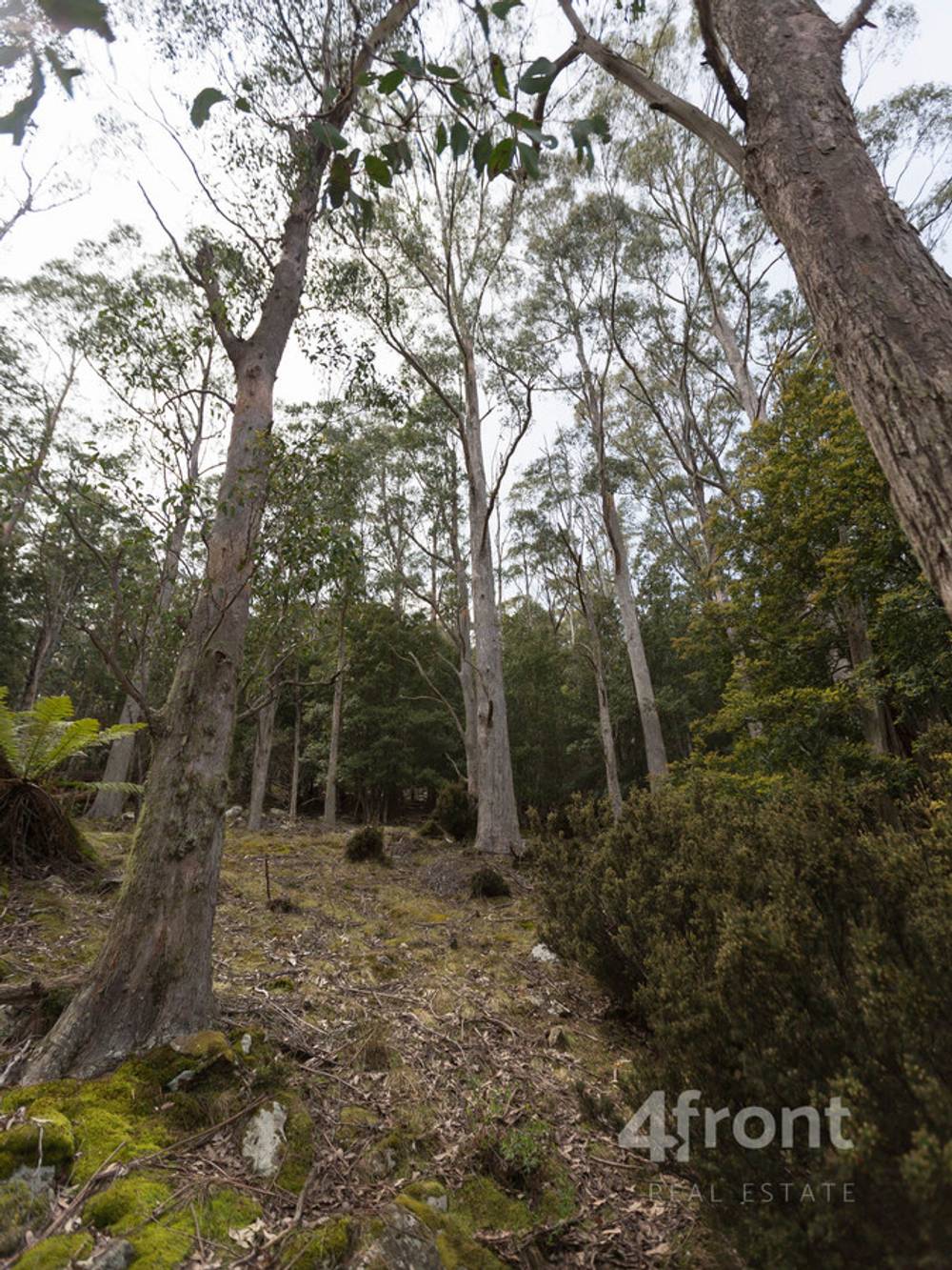 141 Tiers View Road, Golden Valley, TAS 7304