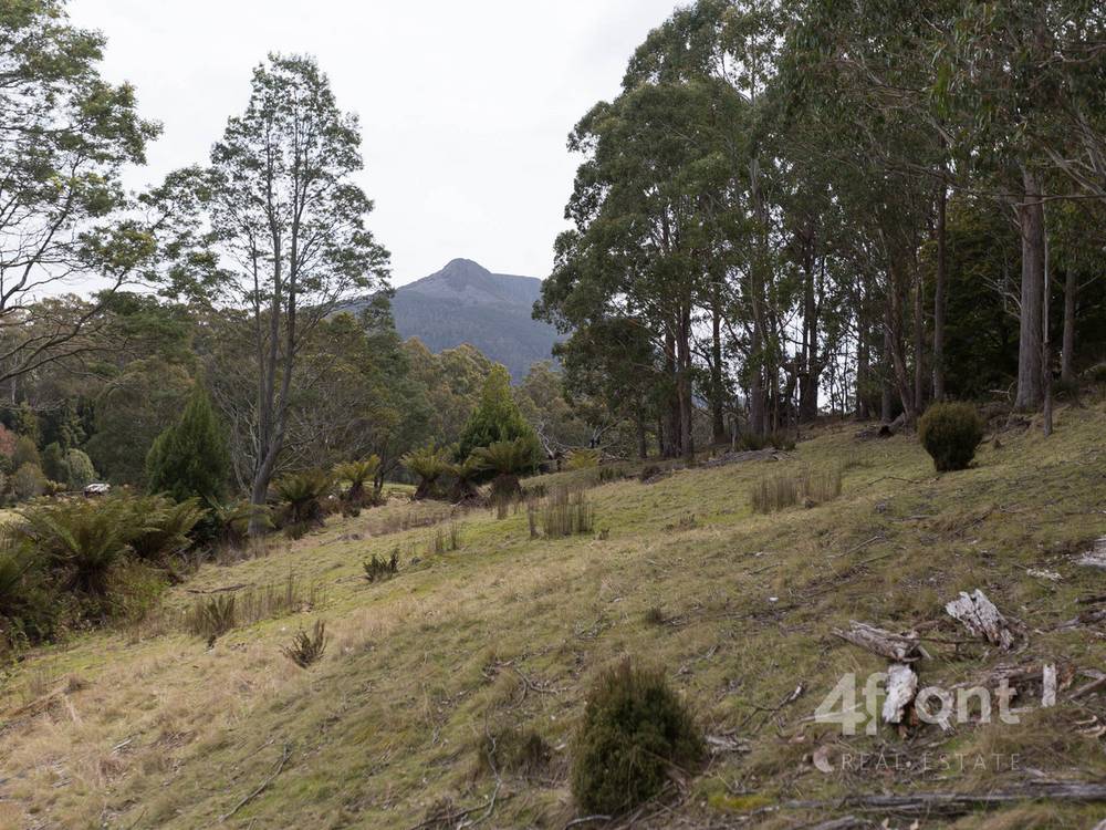 141 Tiers View Road, Golden Valley, TAS 7304