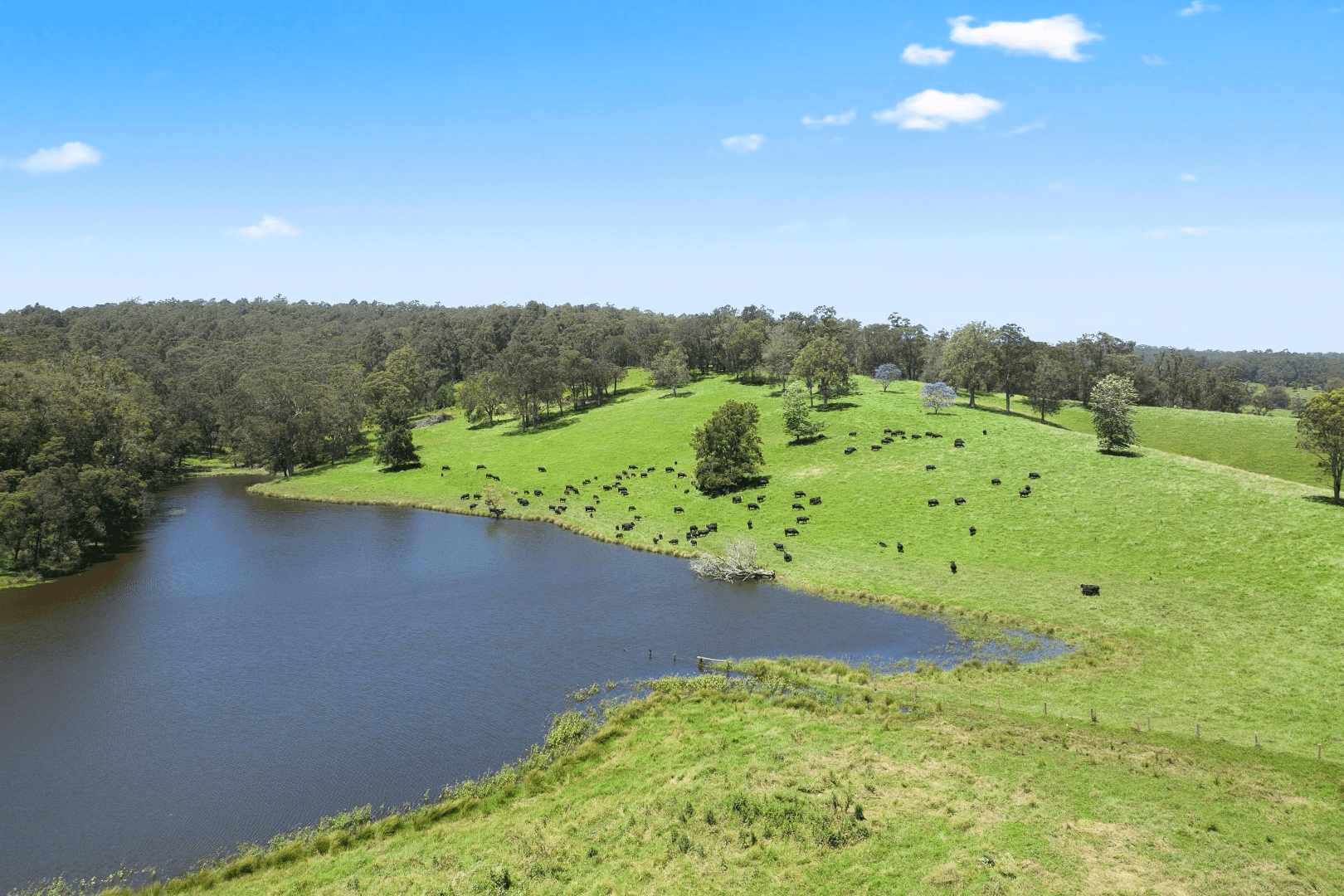 530 Eurobodalla Road, Bodalla, NSW 2545