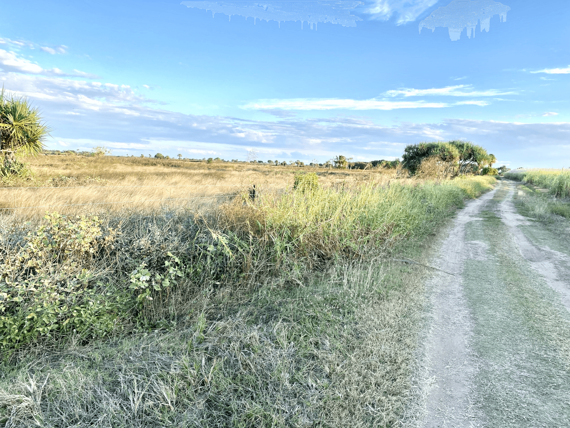 118 Pyott Road, Airdmillan, QLD 4807