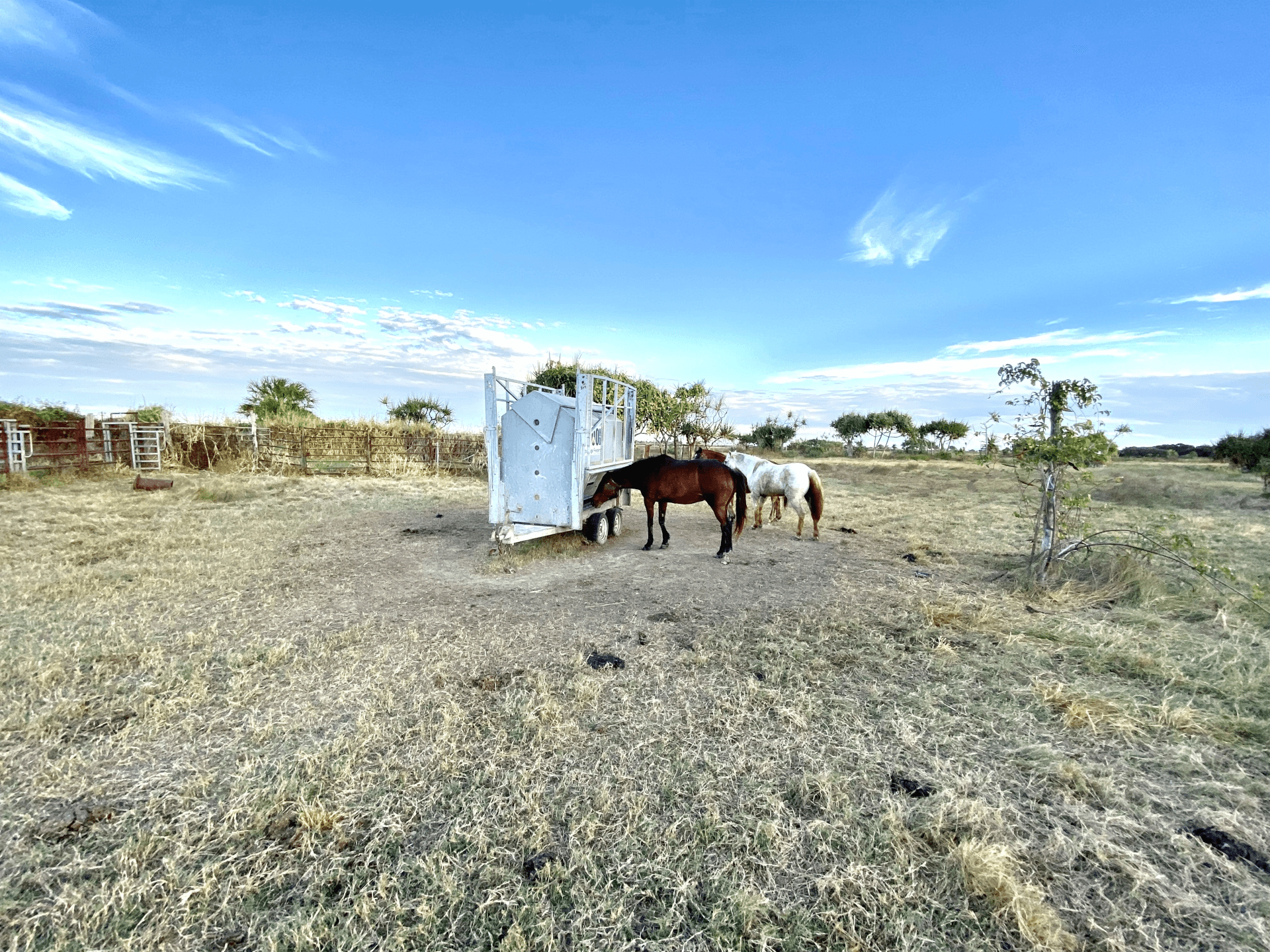 118 Pyott Road, Airdmillan, QLD 4807