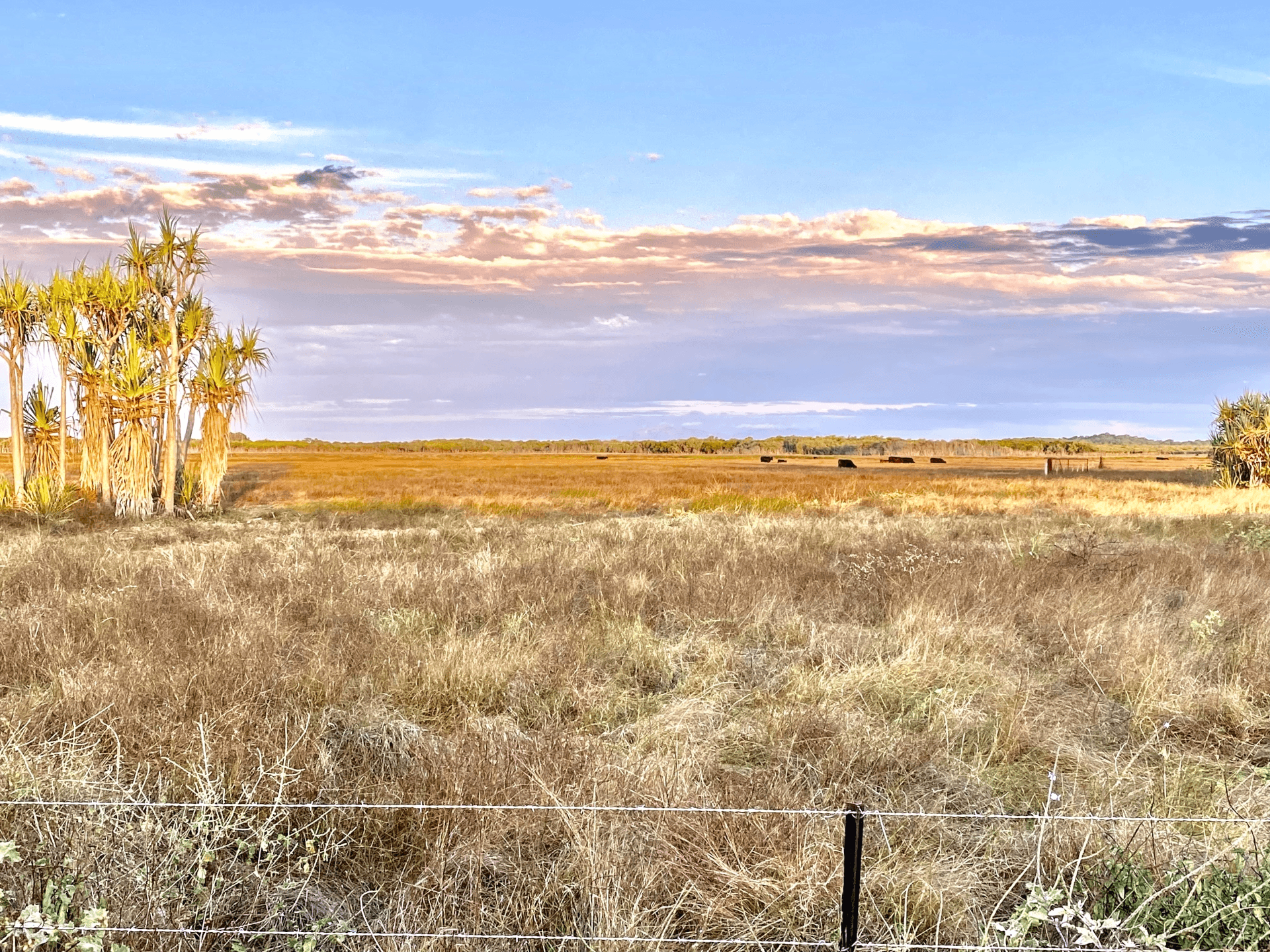 118 Pyott Road, Airdmillan, QLD 4807