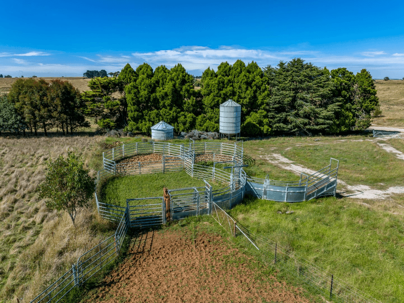 466 Levels Road, Golspie, NSW 2580