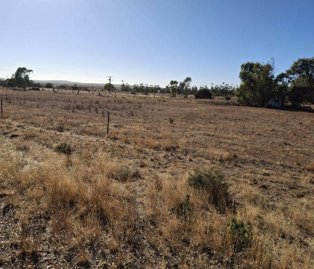 Mitchell Street, Terowie, SA 5421