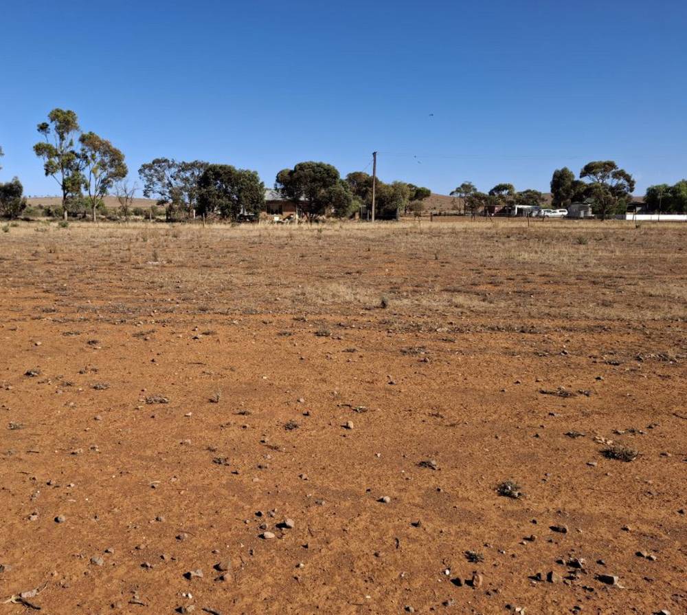 Mitchell Street, Terowie, SA 5421