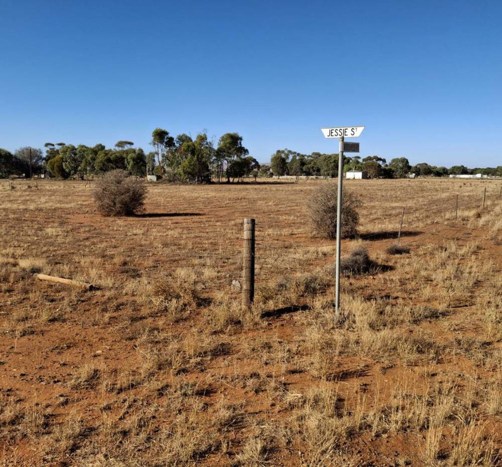 Mitchell Street, Terowie, SA 5421