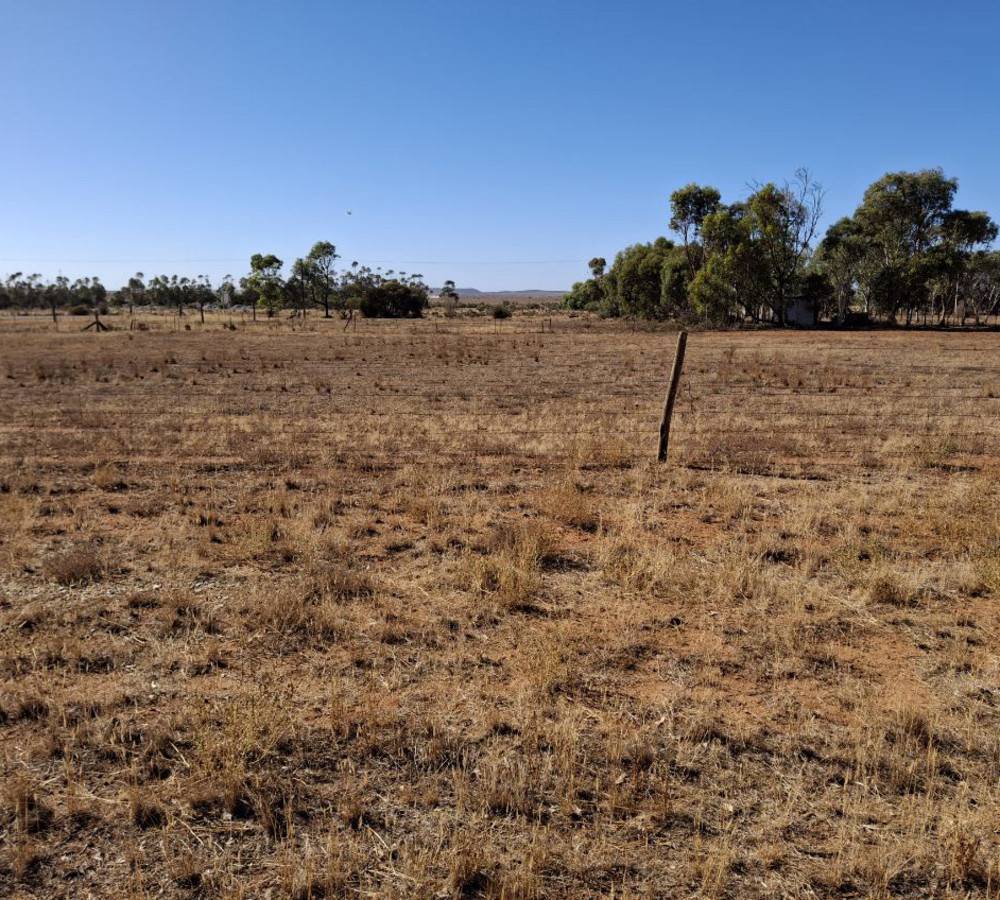 Mitchell Street, Terowie, SA 5421