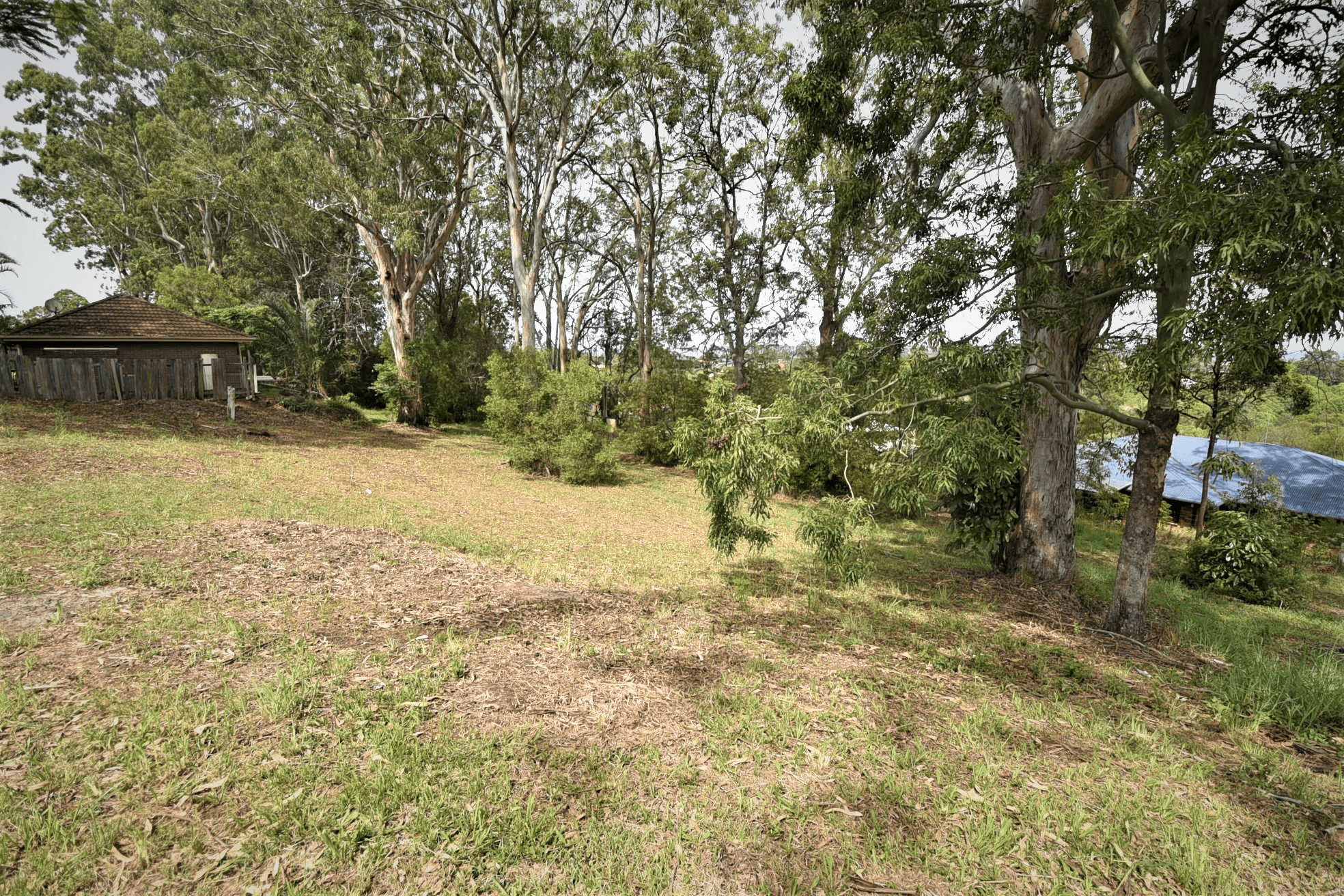 15 Tallowood Court, GOONELLABAH, NSW 2480