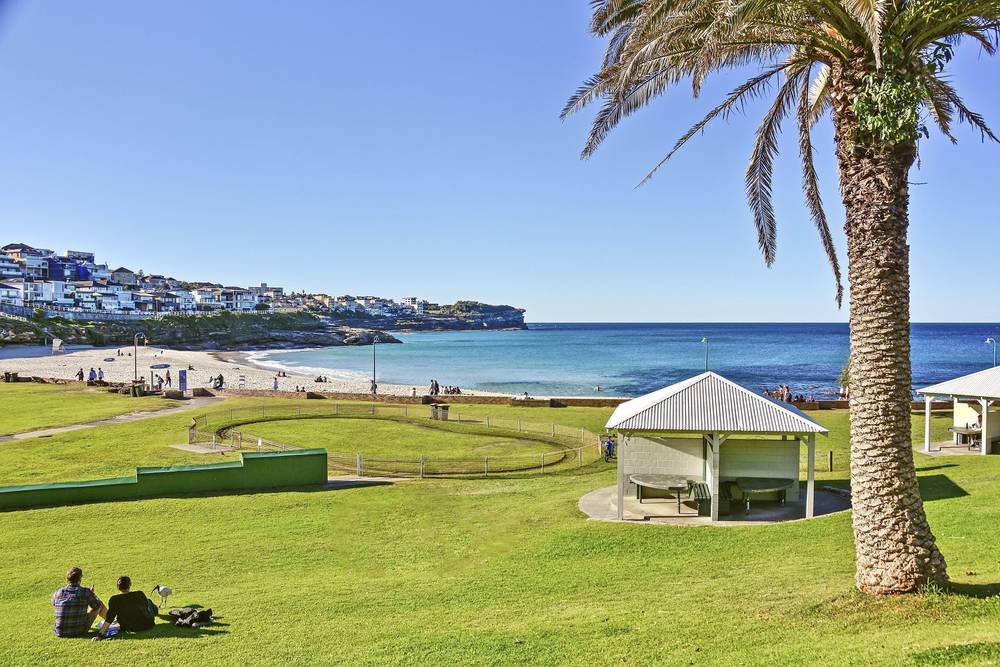 493 Bronte Road, Bronte, NSW 2024