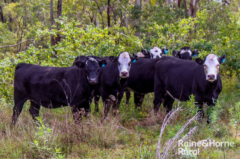 5244 Bruxner Highway, MUMMULGUM, NSW 2469