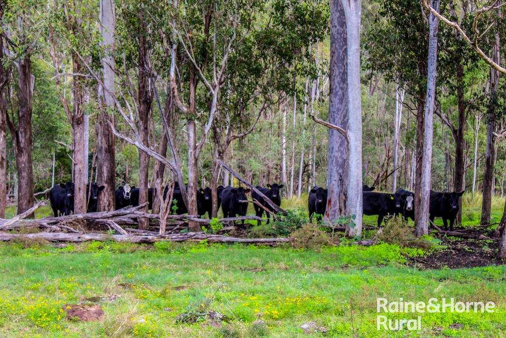 5244 Bruxner Highway, MUMMULGUM, NSW 2469