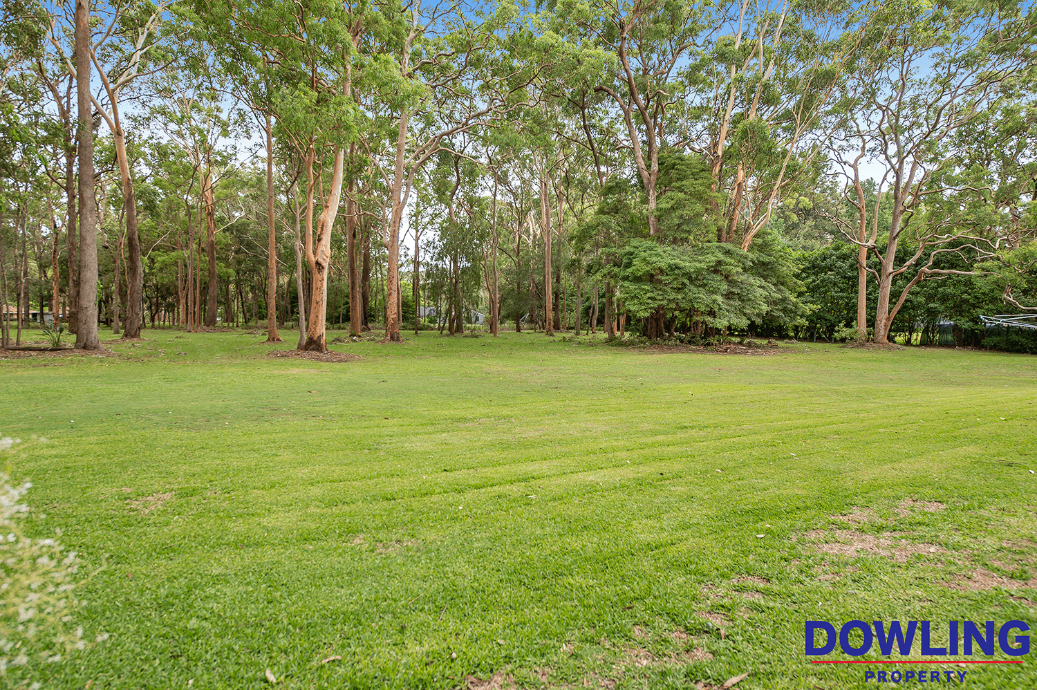 9 Boyd Boulevard, MEDOWIE, NSW 2318