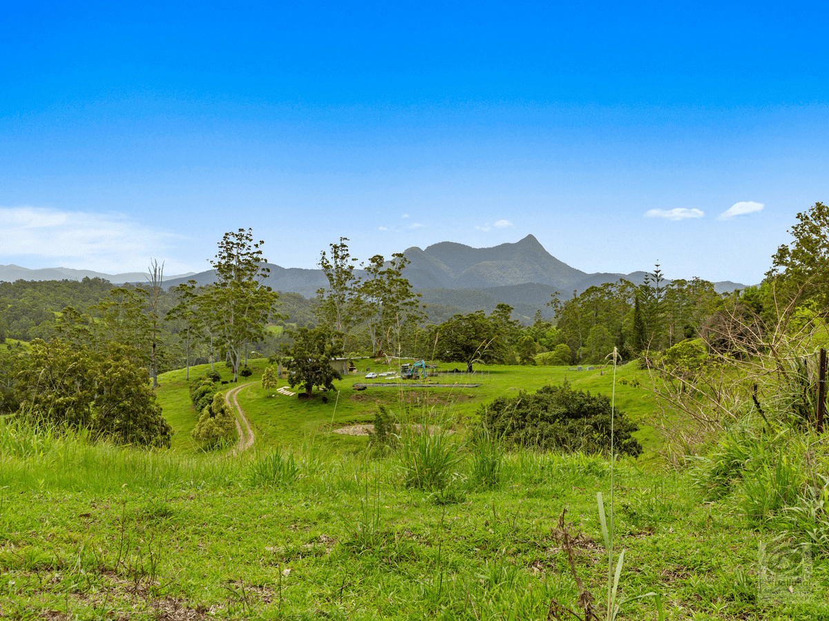 423 Kunghur Creek Road, Kunghur Creek, NSW 2484