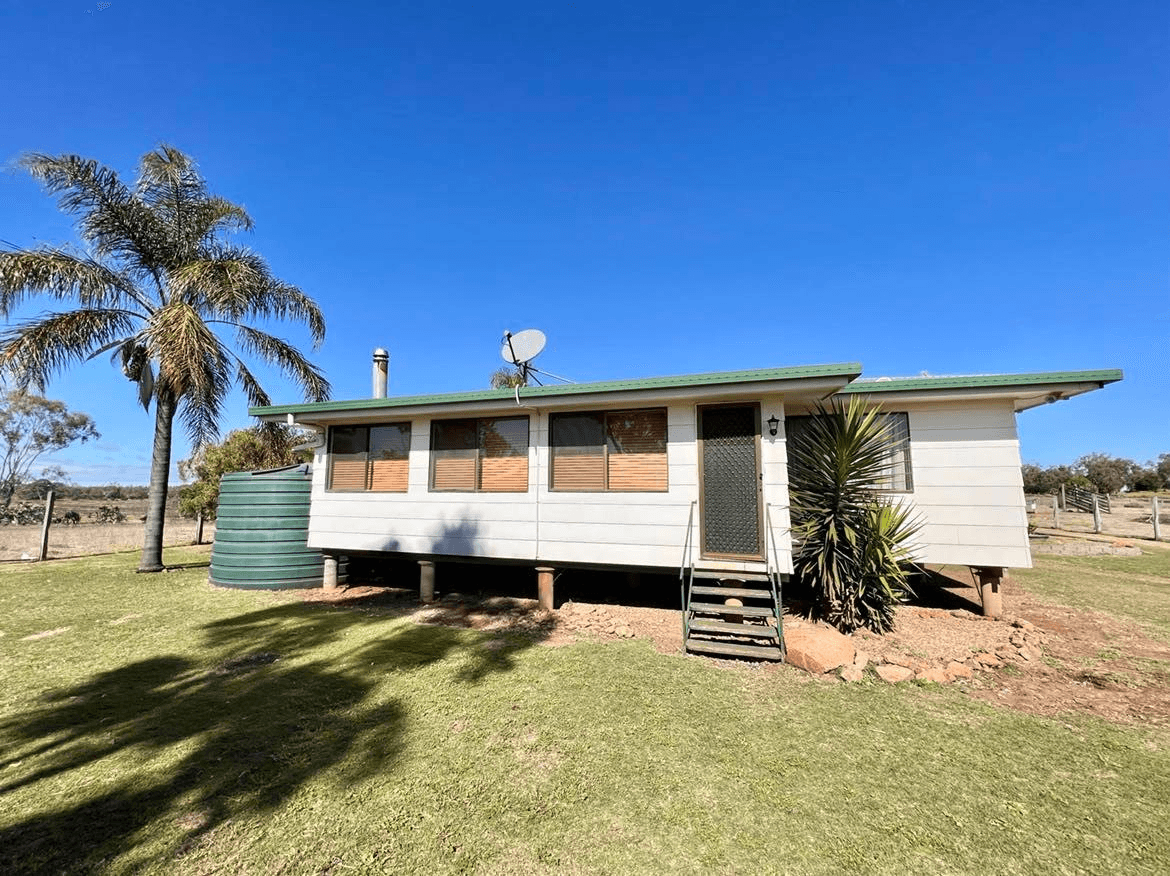 198 Mahoneys Road, IRVINGDALE, QLD 4404