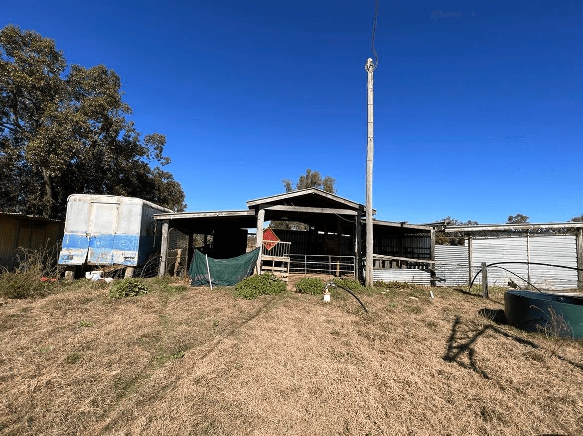 198 Mahoneys Road, IRVINGDALE, QLD 4404