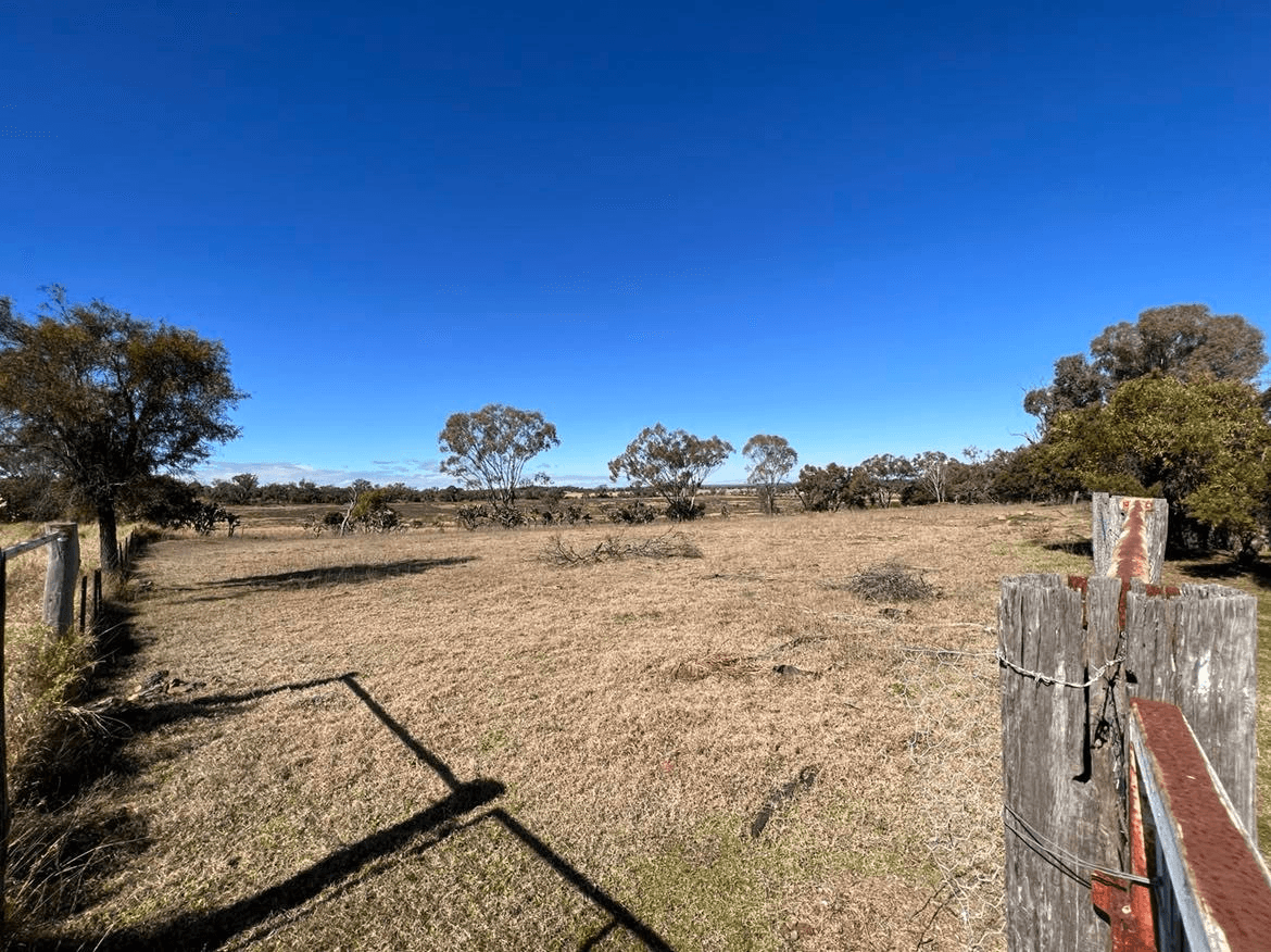 198 Mahoneys Road, IRVINGDALE, QLD 4404