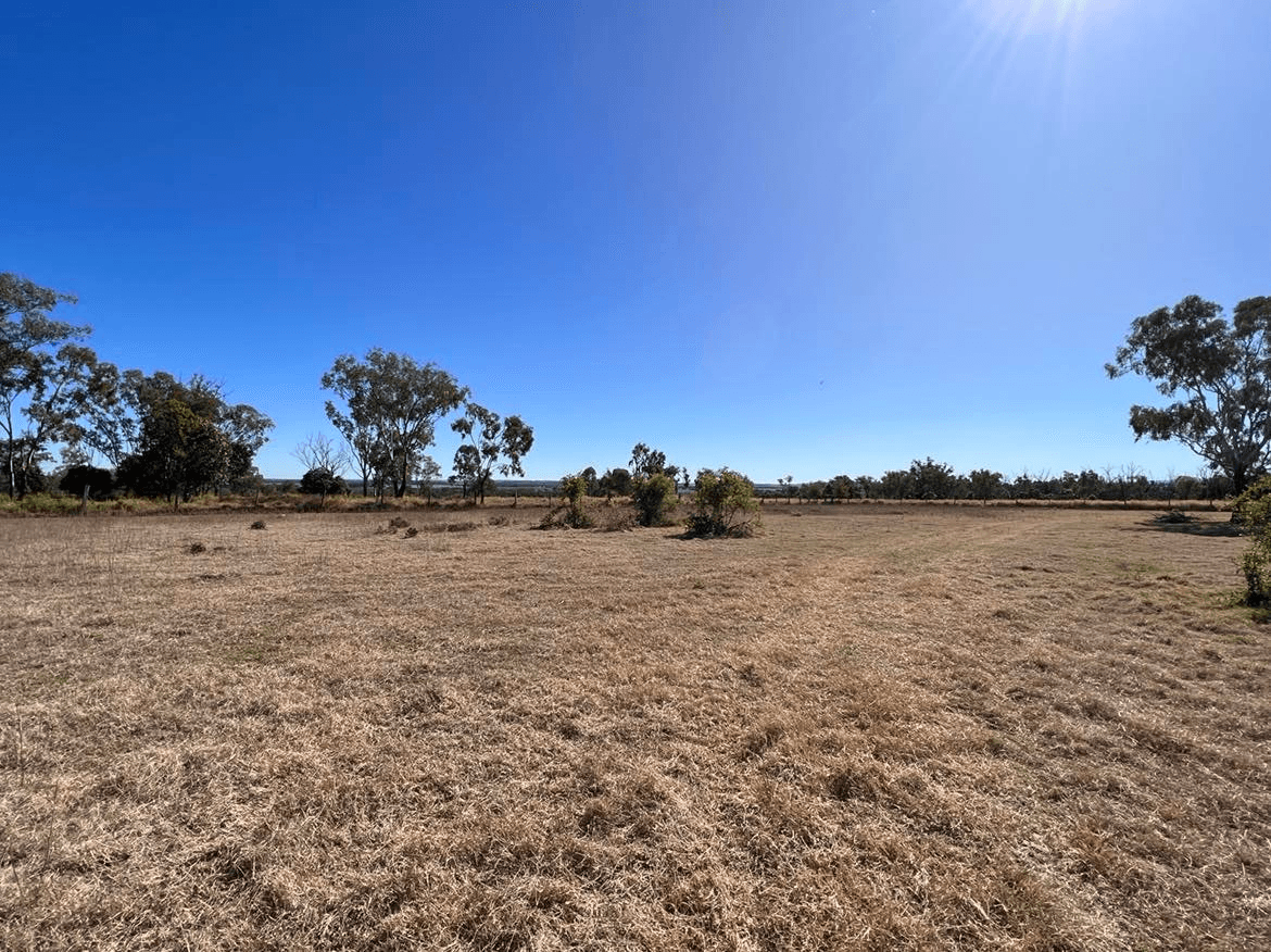 198 Mahoneys Road, IRVINGDALE, QLD 4404