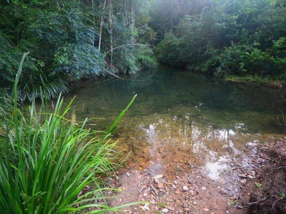 1028 East Bank Road, NANA GLEN, NSW 2450