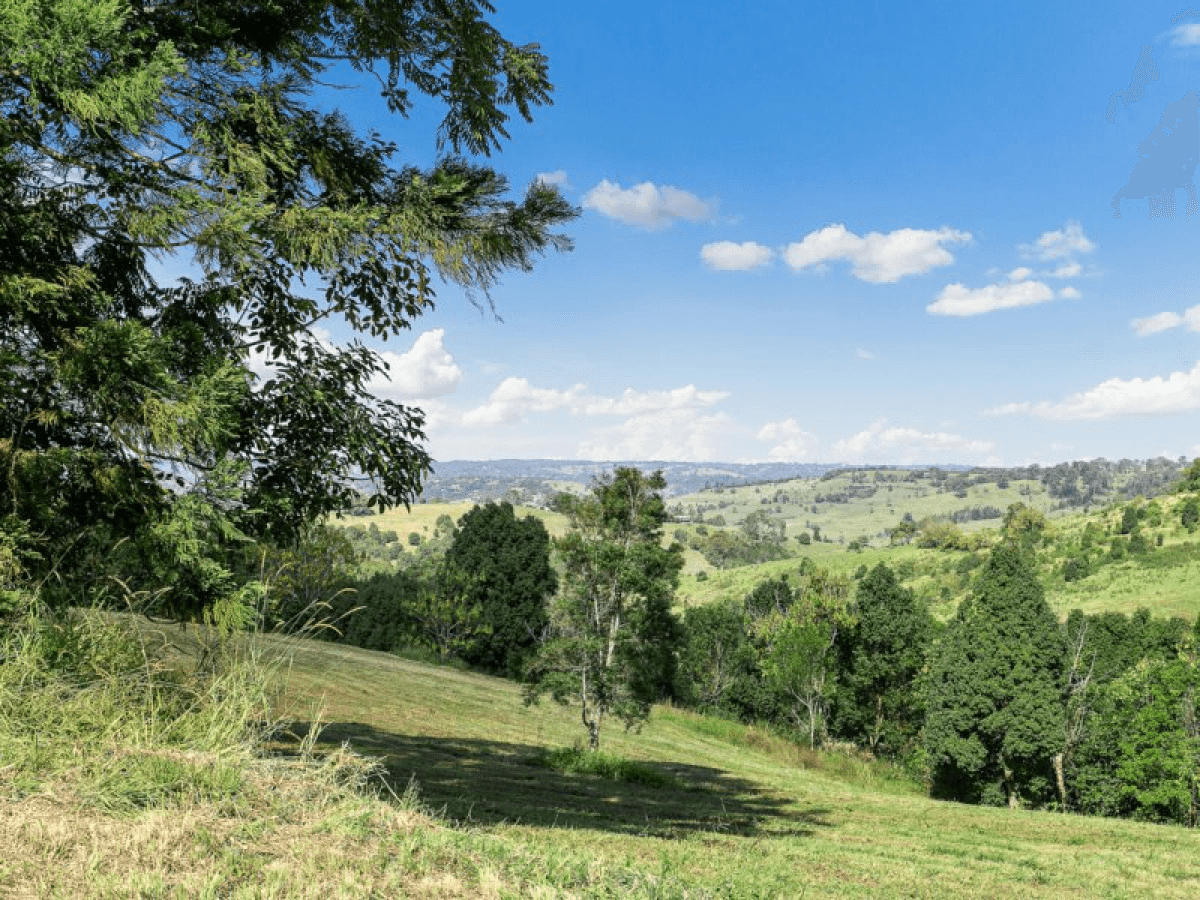 41 Dunromin Drive, MODANVILLE, NSW 2480