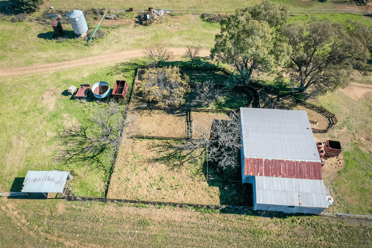 'Doona' 2989 Neilrex Rd, Coolah, NSW 2843