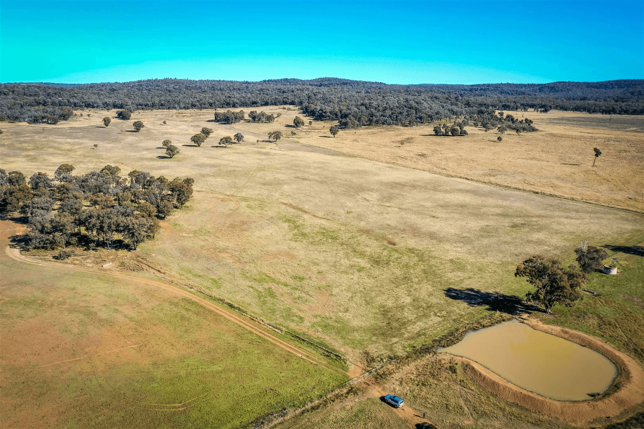 'Doona' 2989 Neilrex Rd, Coolah, NSW 2843