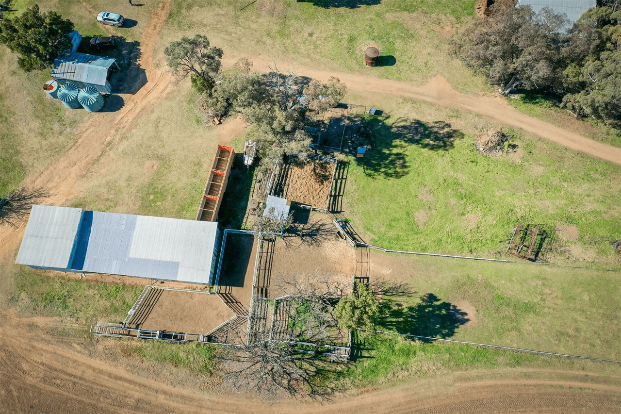 'Doona' 2989 Neilrex Rd, Coolah, NSW 2843