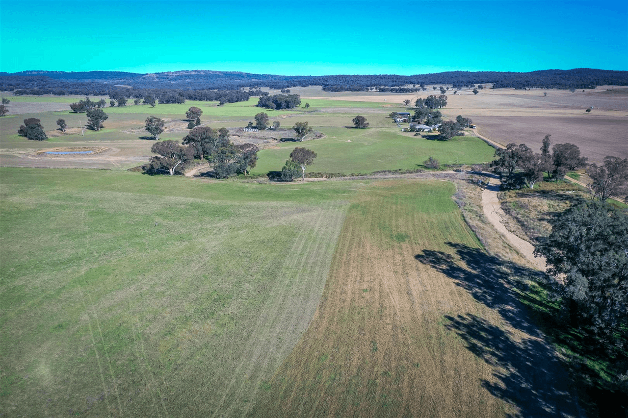 'Doona' 2989 Neilrex Rd, Coolah, NSW 2843