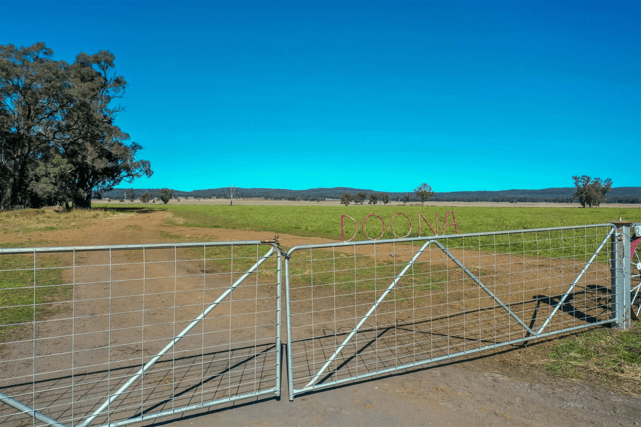 'Doona' 2989 Neilrex Rd, Coolah, NSW 2843