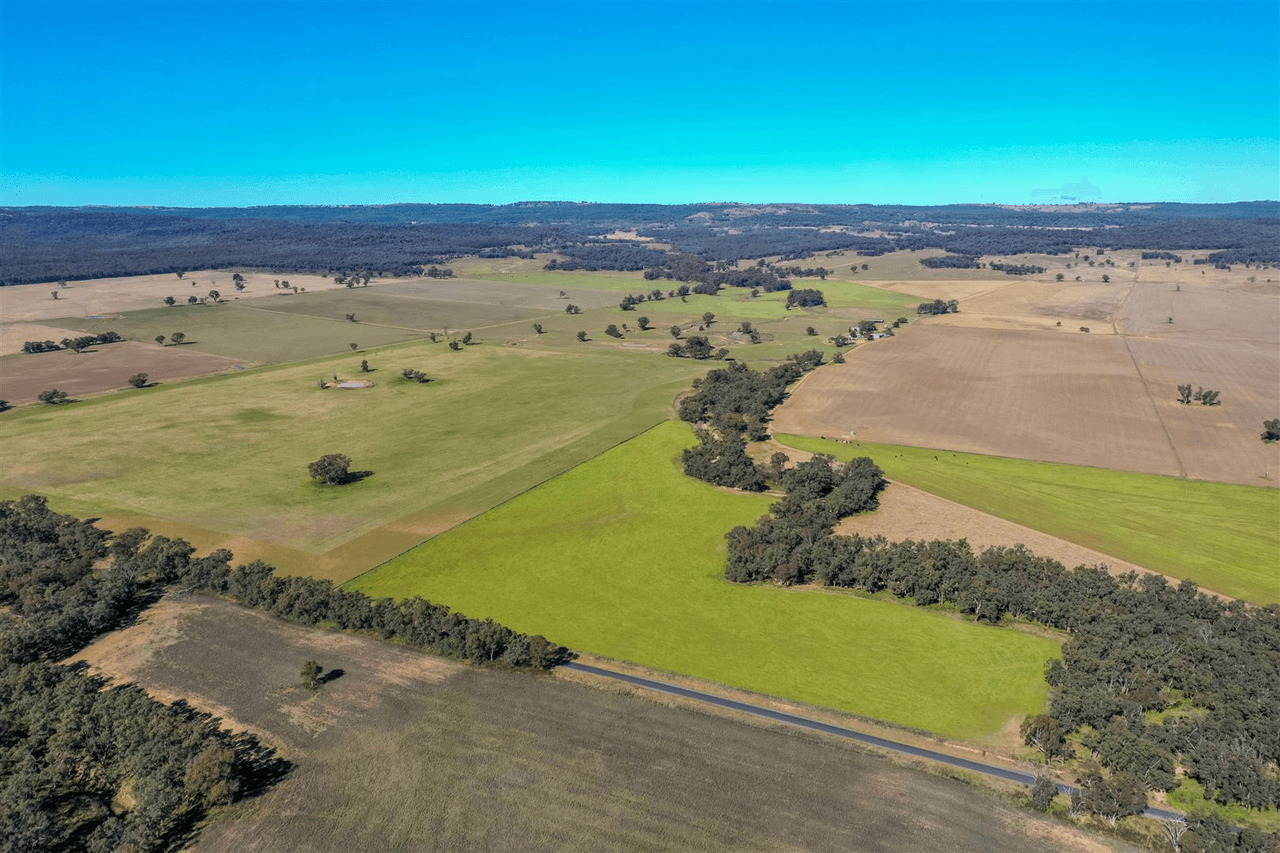 'Doona' 2989 Neilrex Rd, Coolah, NSW 2843