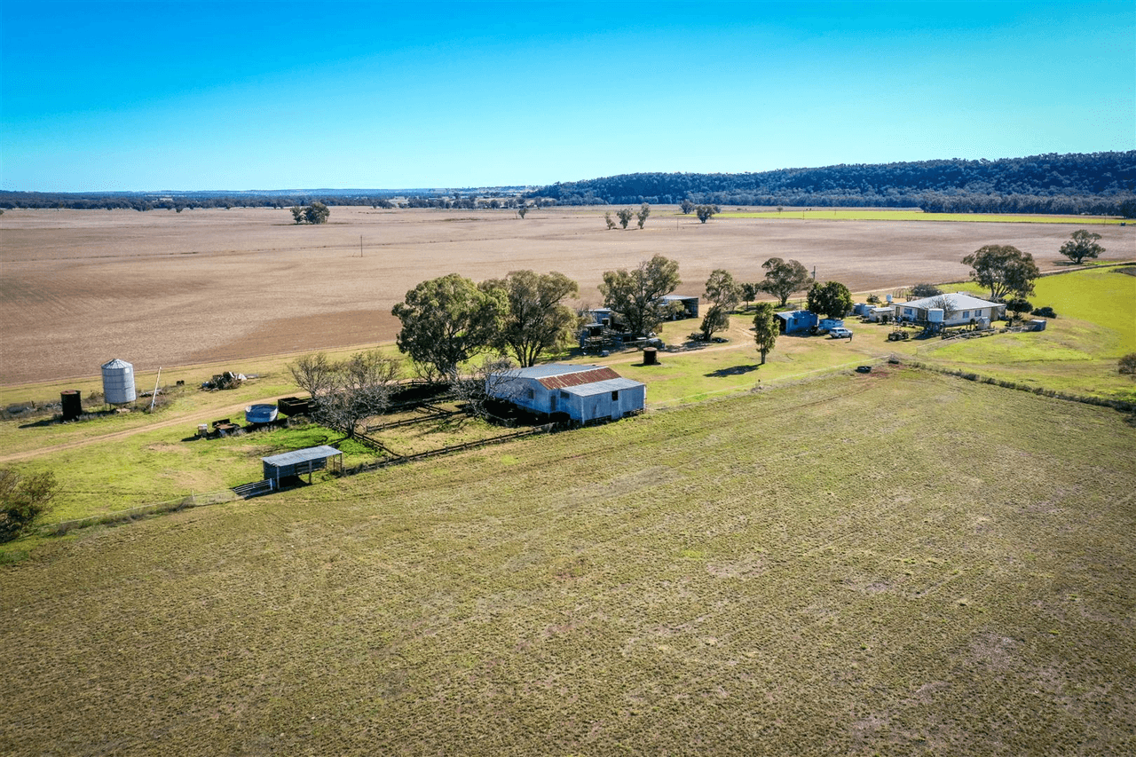 'Doona' 2989 Neilrex Rd, Coolah, NSW 2843