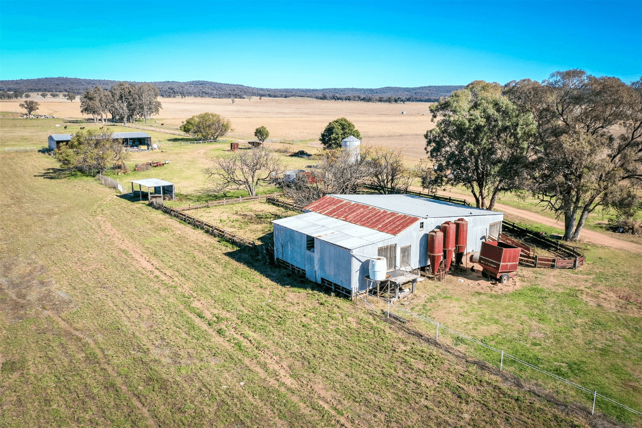 'Doona' 2989 Neilrex Rd, Coolah, NSW 2843