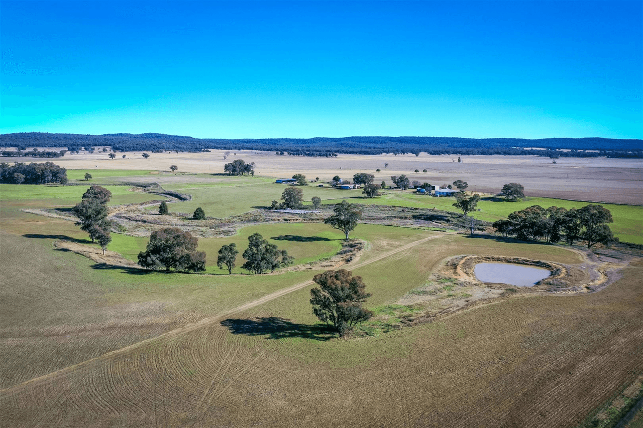 'Doona' 2989 Neilrex Rd, Coolah, NSW 2843