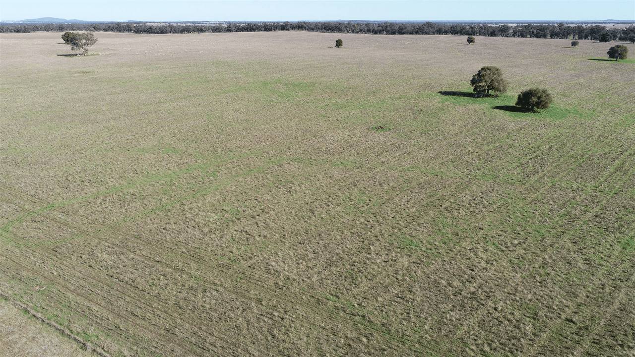 "Glengarrie" Bruie Plains Road, Trundle, NSW 2875