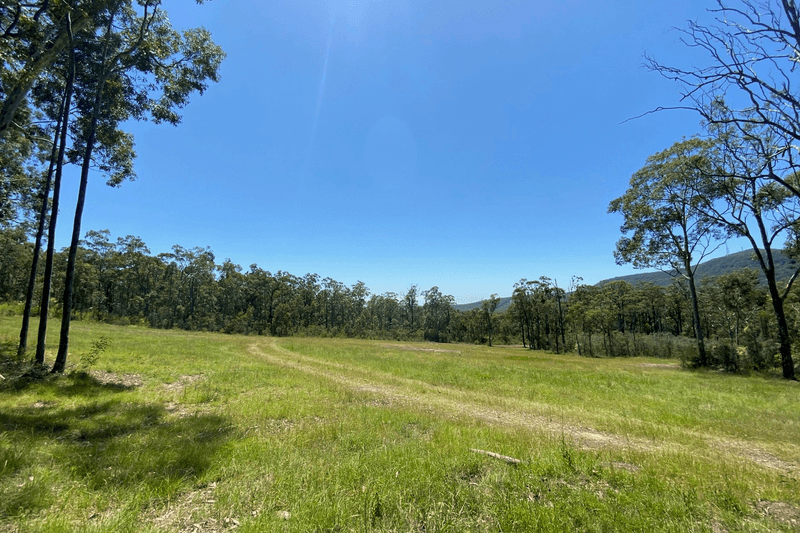 390 Sheppeard Drive, MULBRING, NSW 2323