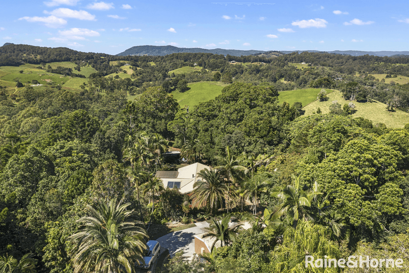 50 Butterfly Lane, BLACK MOUNTAIN, QLD 4563