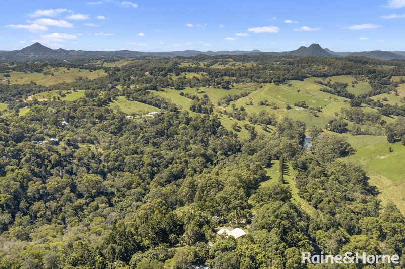 50 Butterfly Lane, BLACK MOUNTAIN, QLD 4563