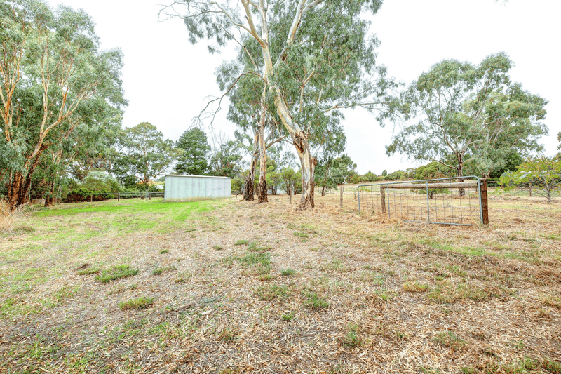 25 Pulleine Road, Nairne, SA 5252