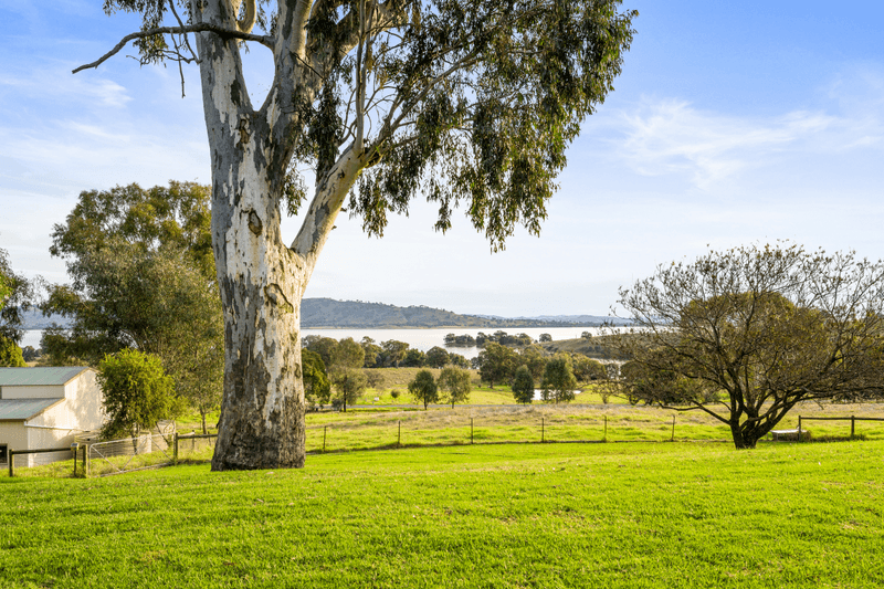 851 Lake Road, Bethanga, VIC 3691