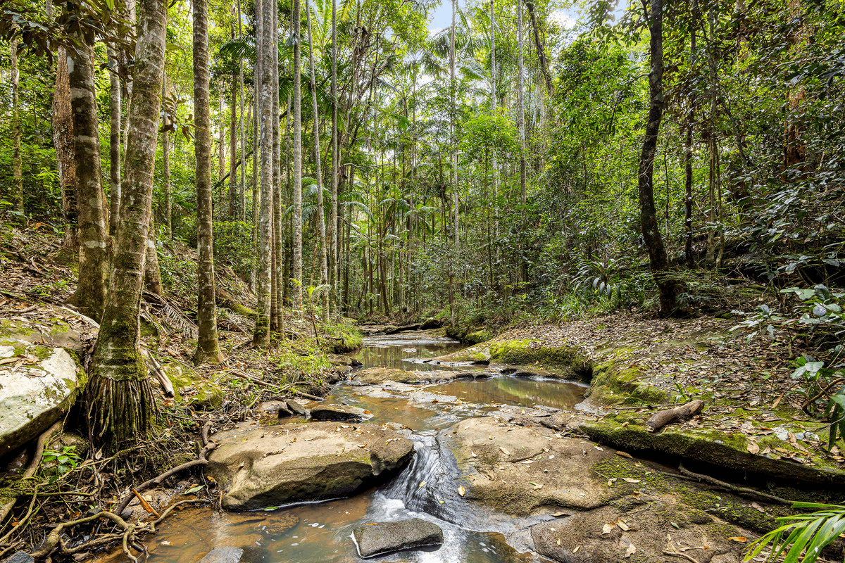 38 Settlers Ridge, Buderim, QLD 4556