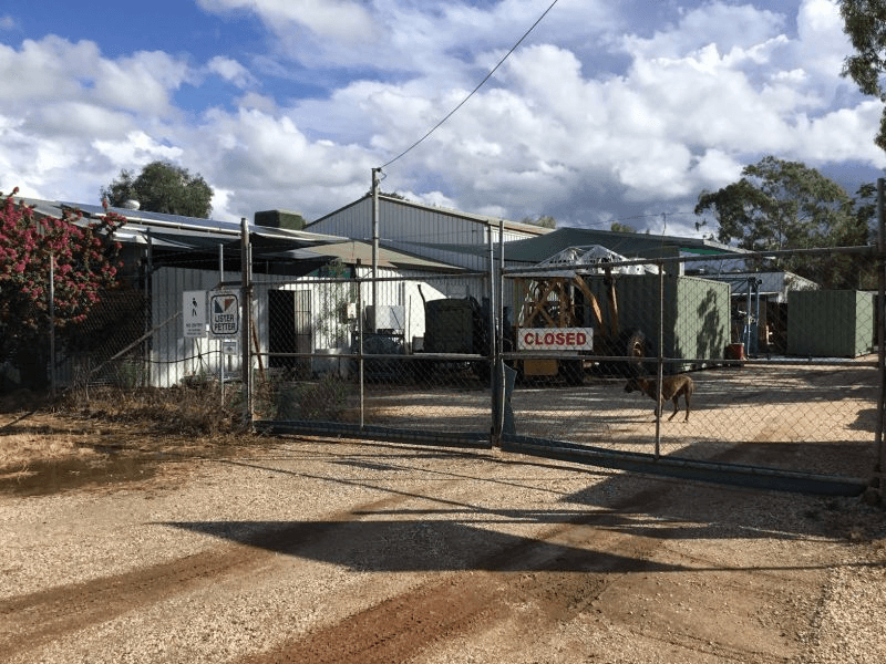 28 Nobby Road, LIGHTNING RIDGE, NSW 2834