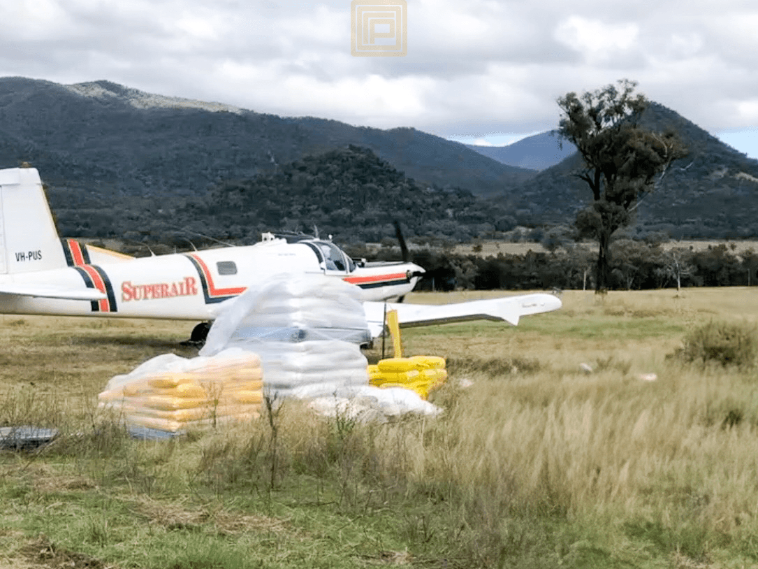 Pound Creek Road, Rocky Creek, NSW 2390