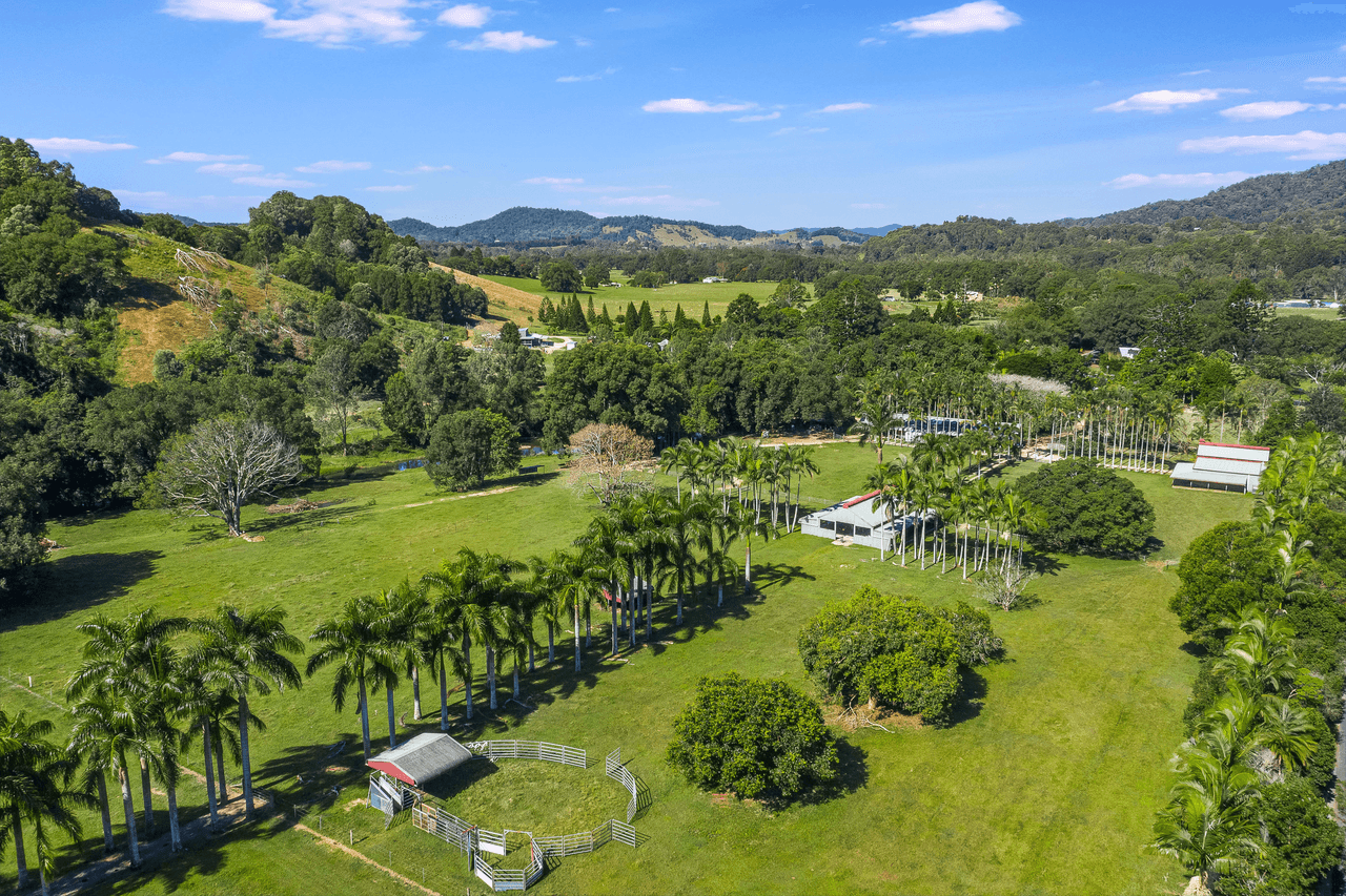 1004 Numinbah Road, CRYSTAL CREEK, NSW 2484