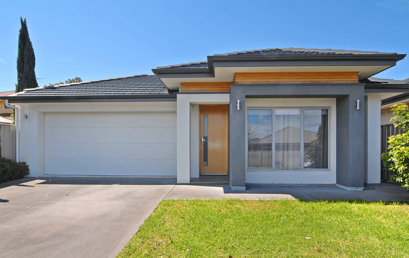 20 Albion Street, WINDSOR GARDENS, SA 5087