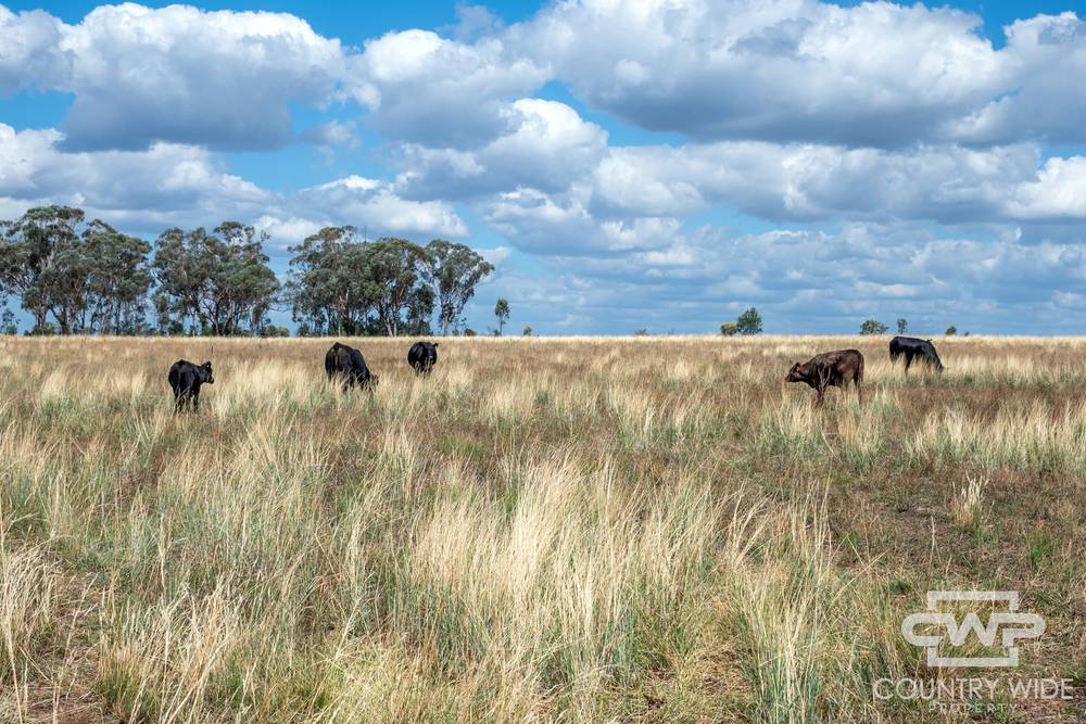 1975 Nullamanna Road, INVERELL, NSW 2360