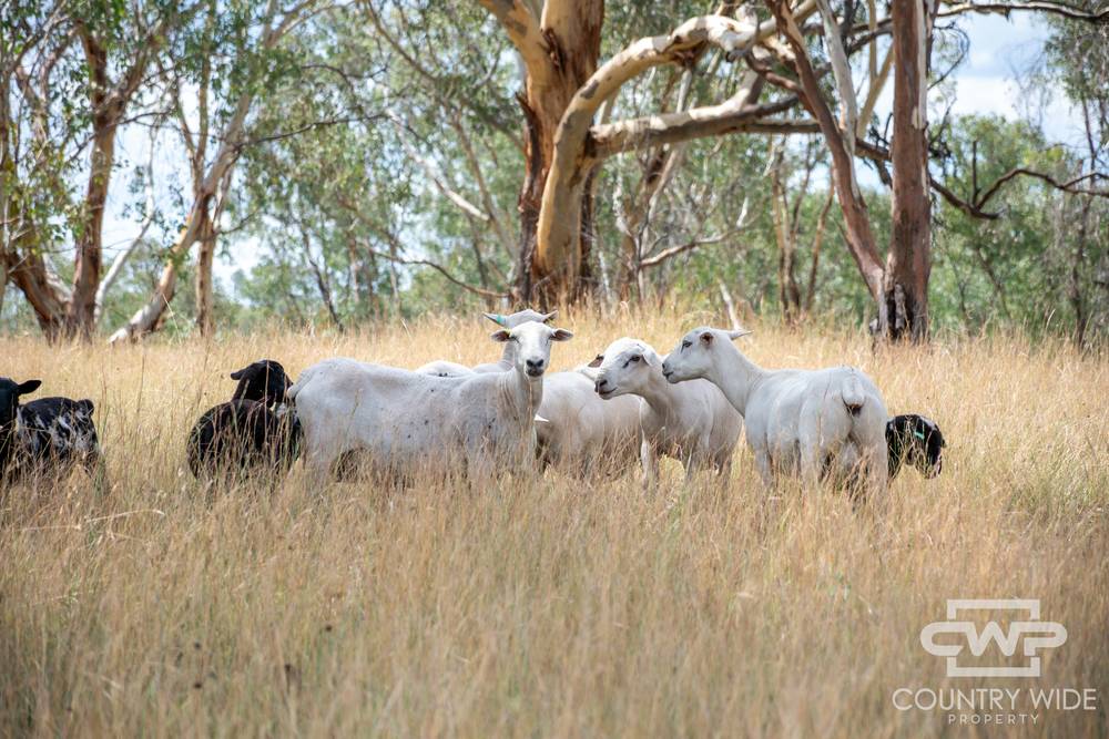 1975 Nullamanna Road, INVERELL, NSW 2360