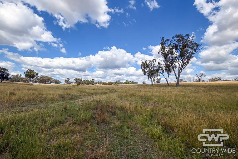 1975 Nullamanna Road, INVERELL, NSW 2360
